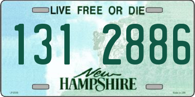 NH license plate 1312886