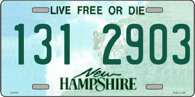 NH license plate 1312903