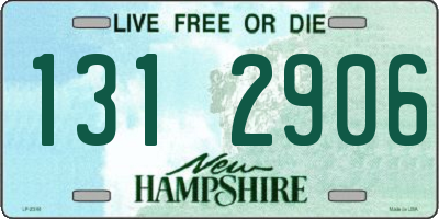 NH license plate 1312906