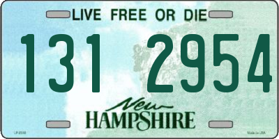 NH license plate 1312954