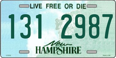 NH license plate 1312987