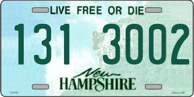 NH license plate 1313002