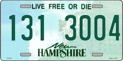 NH license plate 1313004