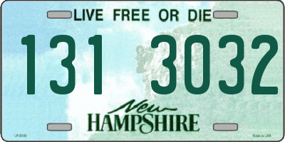 NH license plate 1313032