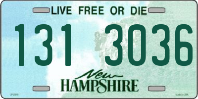NH license plate 1313036