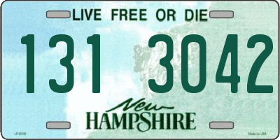 NH license plate 1313042
