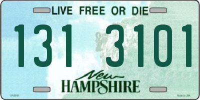 NH license plate 1313101