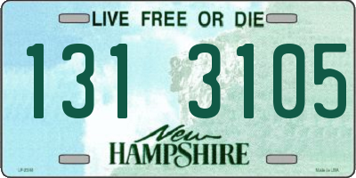 NH license plate 1313105