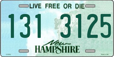 NH license plate 1313125