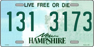 NH license plate 1313173