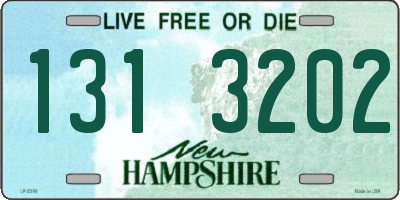 NH license plate 1313202