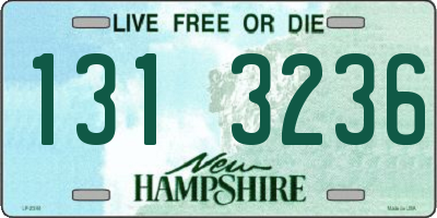 NH license plate 1313236