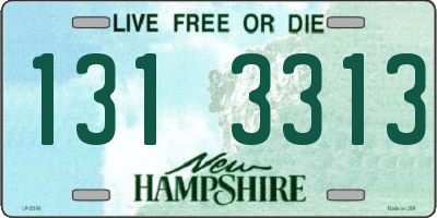 NH license plate 1313313