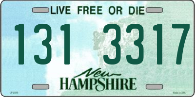 NH license plate 1313317