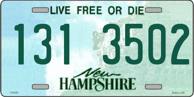 NH license plate 1313502