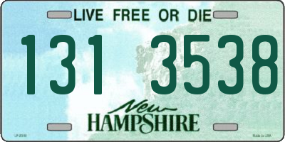 NH license plate 1313538