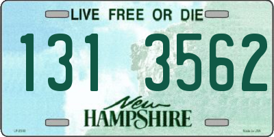 NH license plate 1313562