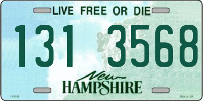 NH license plate 1313568