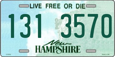 NH license plate 1313570