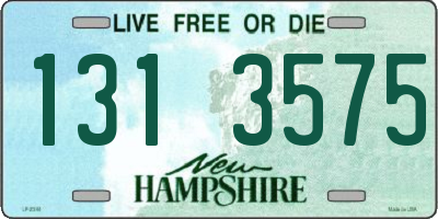 NH license plate 1313575