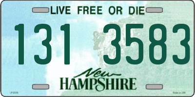 NH license plate 1313583