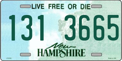 NH license plate 1313665