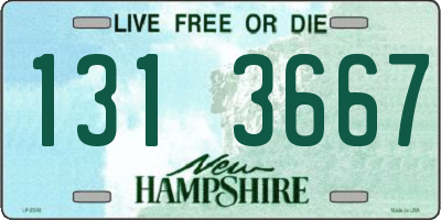 NH license plate 1313667