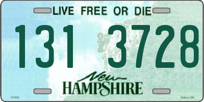 NH license plate 1313728