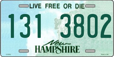NH license plate 1313802