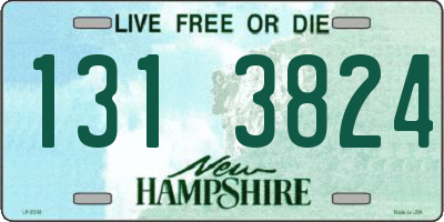 NH license plate 1313824