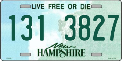 NH license plate 1313827