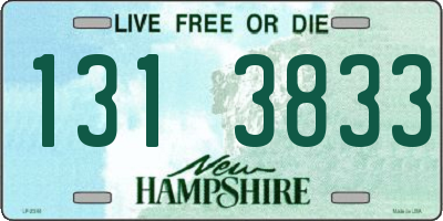 NH license plate 1313833