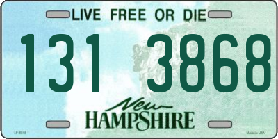 NH license plate 1313868