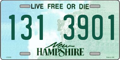 NH license plate 1313901