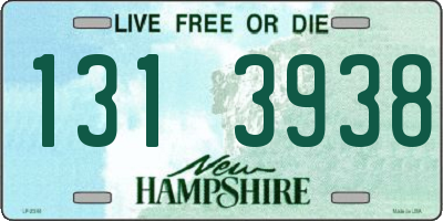 NH license plate 1313938