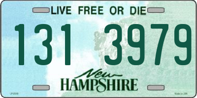 NH license plate 1313979