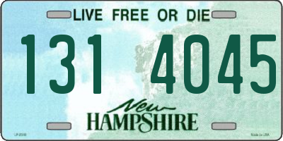 NH license plate 1314045