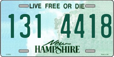 NH license plate 1314418