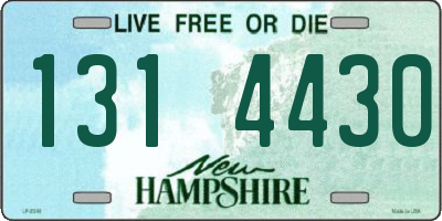 NH license plate 1314430