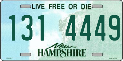 NH license plate 1314449