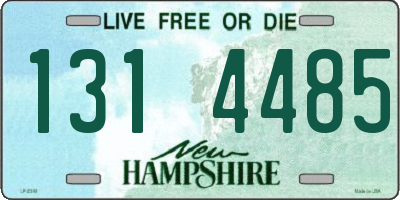 NH license plate 1314485