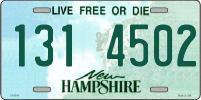 NH license plate 1314502