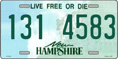NH license plate 1314583