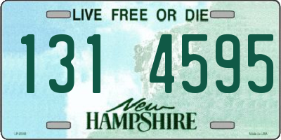 NH license plate 1314595