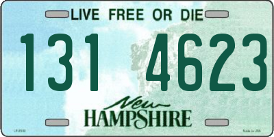 NH license plate 1314623