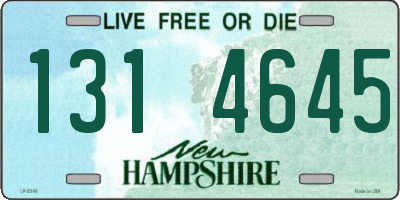 NH license plate 1314645