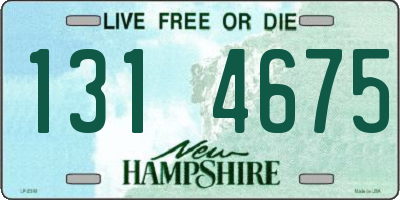 NH license plate 1314675