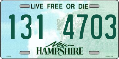 NH license plate 1314703