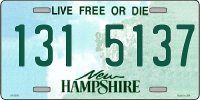 NH license plate 1315137