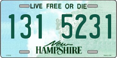 NH license plate 1315231